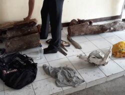 Pencuri Kayu Cendana Diciduk Polisi