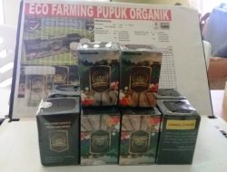 ECO FARMING Solusi Cerdas Mengatasi KELANGKAAN Pupuk (bagian 1)
