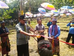 SENSASI Baru Ala Anggota Dewan Partai DEMOKRAT TTS