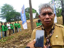 TJPS, Gerakan Tanam JAGUNG Berbuah TERNAK (seri -2)