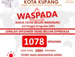 KOTA Kupang BERTAMBAH Pasien Covid19 SEMBUH dan MENINGGAL