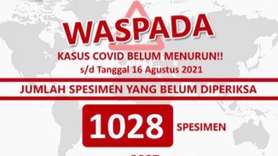 Terus BERTAMBAH Angka SEMBUH Covid19 di KOTA Kupang