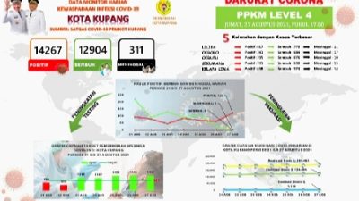 KOTA Kupang Sistem NAR Error Data SEMBUH Covid19 NOL