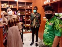 BERKUALITAS Expor PT MOI Menjadikan KELOR NTT Penyuplai Utama