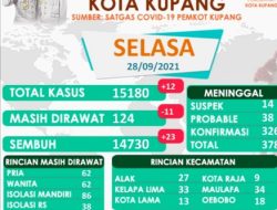 KELURAHAN Zona HIJAU Bertambah Angka SEMBUH Covid19 MENINGKAT