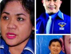 ANITA Sebut KETUA Partai GAGAL Urus DEMOKRAT di NTT