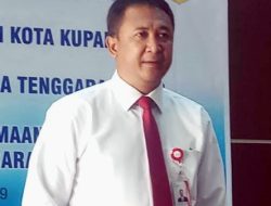 Dari TANGAN Dingin ALEX Bank NTT Menggengam Opini WAJAR