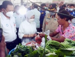 DEPUTI Gubernur BI Beli SAYURAN Pakai QRIS Bank NTT