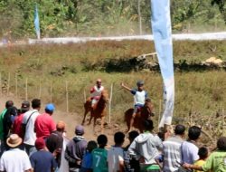 MEMACU Pertumbuhan EKONOMI Dibalik Lomba PACUAN Kuda