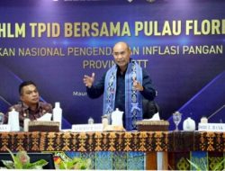 HLM TPID-GNPIP di Maumere Gubernur VIKTOR Singgung DANA DESA Untuk PEM