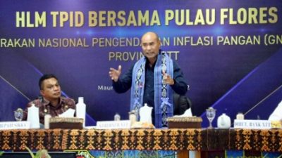 HLM TPID-GNPIP di Maumere Gubernur VIKTOR Singgung DANA DESA Untuk PEM