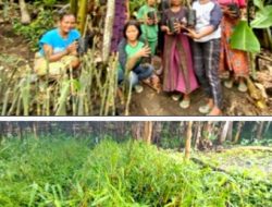 Kisah SUKSES Mama BAMBU Tentang Bunda JULIE Laiskodat Dibalik Rumpun BAMBU