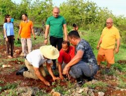 Manfaatkan LAHAN Tidur GEORGE Hadjoh Ajak ASN Tanam KELOR
