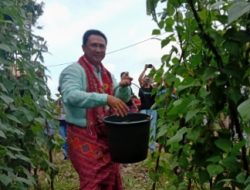 BANK NTT Sekarang TIDAK Lagi Menjadi Sinterklas (*/Seri 4-Habis)