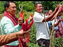 BANK NTT Telah Merubah MIMPI Petani Besmarak Jadi KENYATAAN (*/Seri 2)