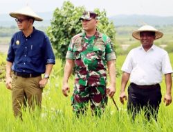 ROTE Surga Tersembunyi Bagi Pj.Gubernur ANDRIKO Adalah ALFA dan OMEGA