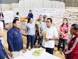 BERAS Stok AMAN Harga TELUR NAIK, PT Pelindo Minta BANGUN Industri Penyangga Logistik