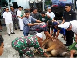 PENGORBANAN Hewan KURBAN Simbol KEIKHLASAN Hati dan KEPEDULIAN Terhadap SESAMA Umat