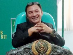 Target PAD TURUN, Celly: Upaya JUJUR dan SPEKTAKULER dari Melky dan Johny