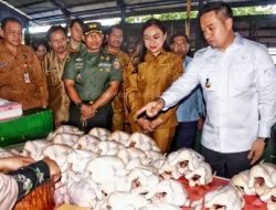 PEMKOT Kupang Tempuh LIMA Langkah KONKRET Menuju EKONOMI Tangguh dan DIGITAL