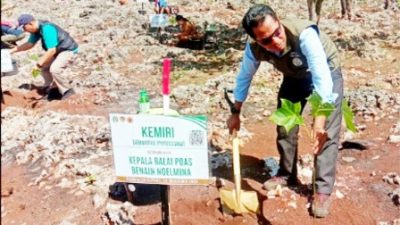 KERJA Kolaboratif MERAWAT BUMI Ala BP DAS Benain Noelmina dan BPS Kupang