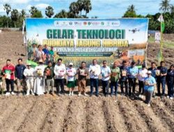 Saat JAGUNG Jadi Emas Baru dari TANAH Kering NTT, Tarus Disulap Jadi LABORATORIUM HIDUP