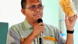Dari Nobi-Nobi Gubernur MELKY Laka Lena Sedang MENGUBAH Wajah EKONOMI Desa di NTT