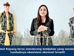 TINJAU Progres Ruang KREATIF, Wawali SERENA Francis DUKUNG Pengembangan Ekonomi KAUM MUDA